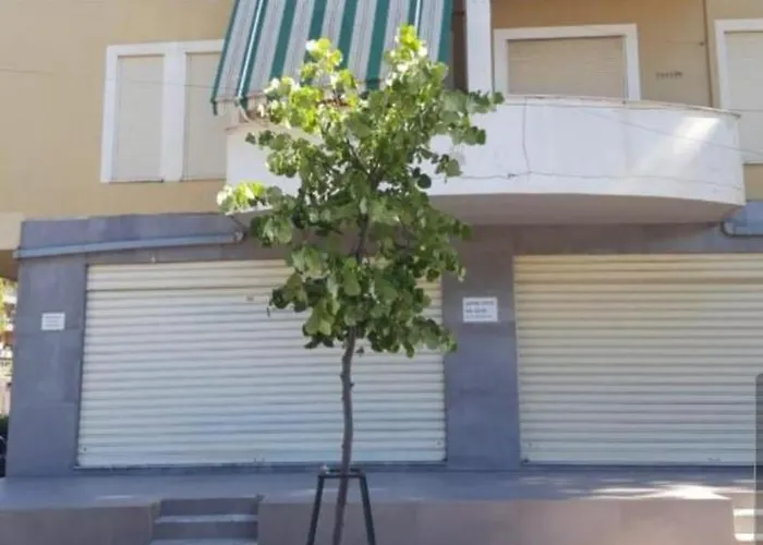 Apartment Pine Golem (Tirana)